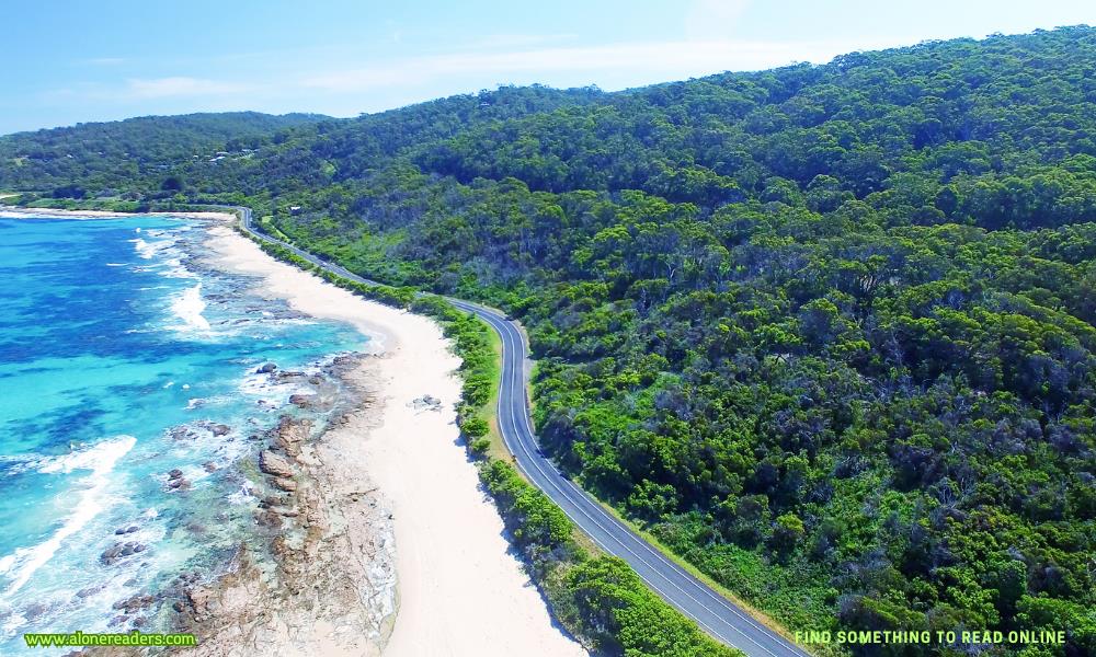 Scenic Drives: The Great Ocean Road and Beyond