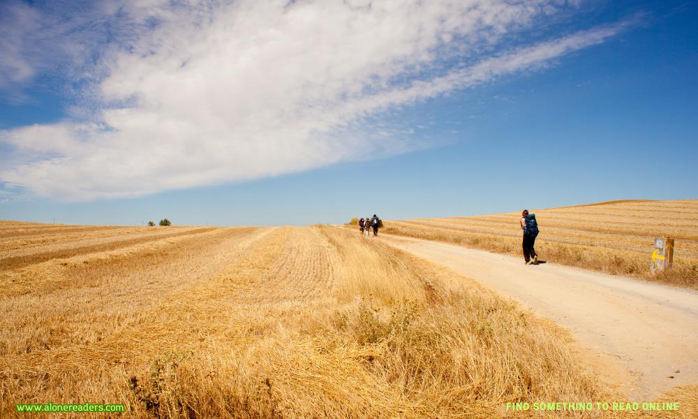 Trekking the Camino de Santiago: A Journey of Faith, Beauty, and Adventure