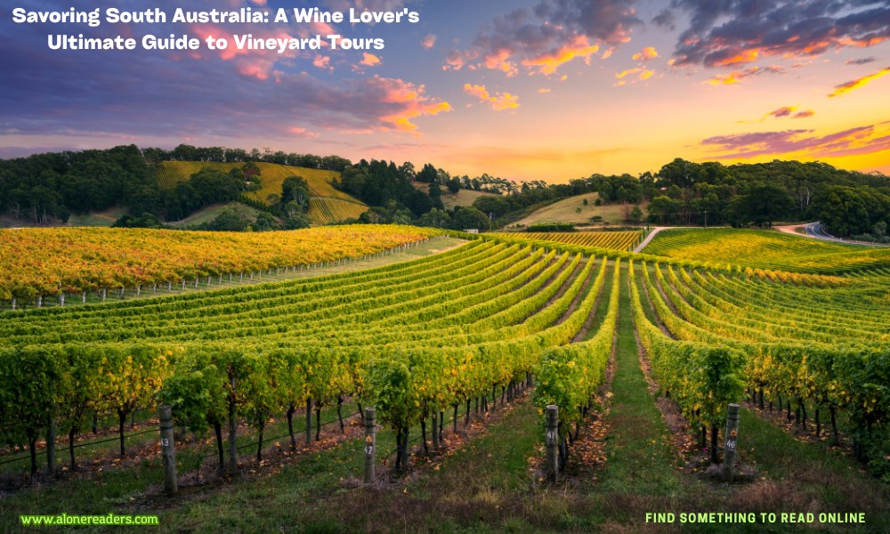 Savoring South Australia: A Wine Lover's Ultimate Guide to Vineyard Tours