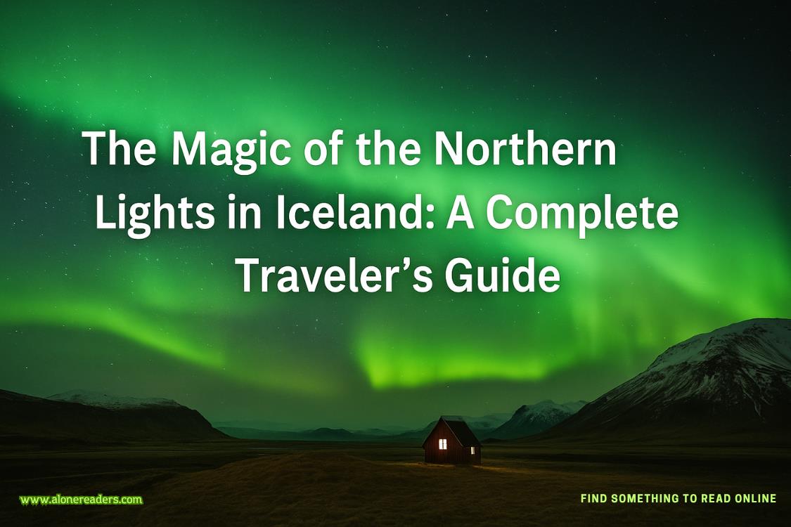 The Magic of the Northern Lights in Iceland: A Complete Traveler’s Guide