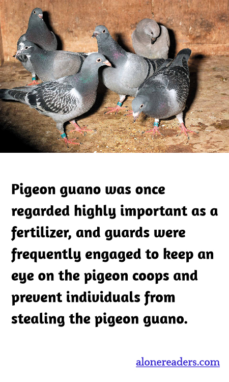 General Knowledge Learning Cards