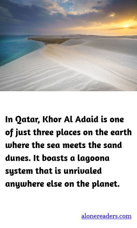 General Knowledge Learning Cards