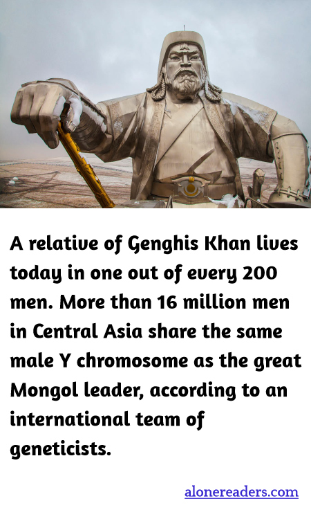 General Knowledge Learning Cards