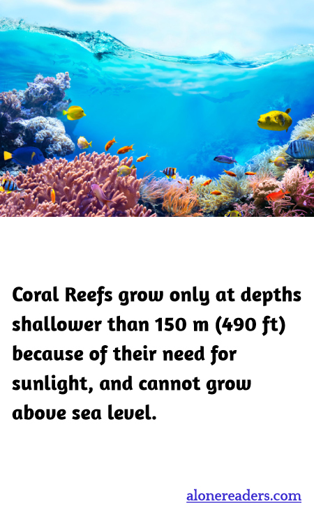 General Knowledge Learning Cards