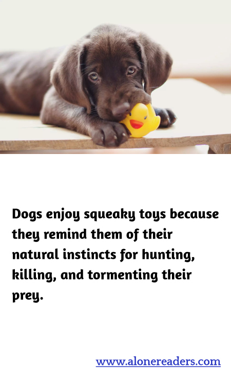 General Knowledge Learning Cards