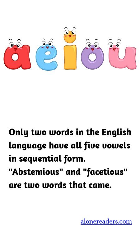 General Knowledge Learning Cards