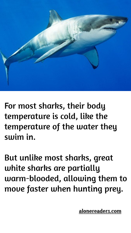 General Knowledge Learning Cards
