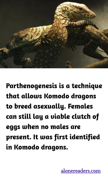 General Knowledge Learning Cards
