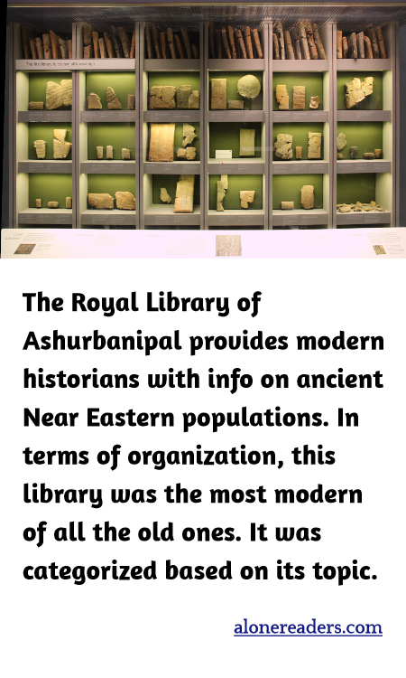 General Knowledge Learning Cards