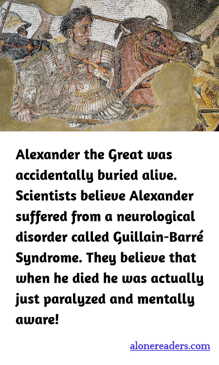 General Knowledge Learning Cards