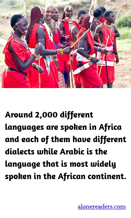 General Knowledge Learning Cards