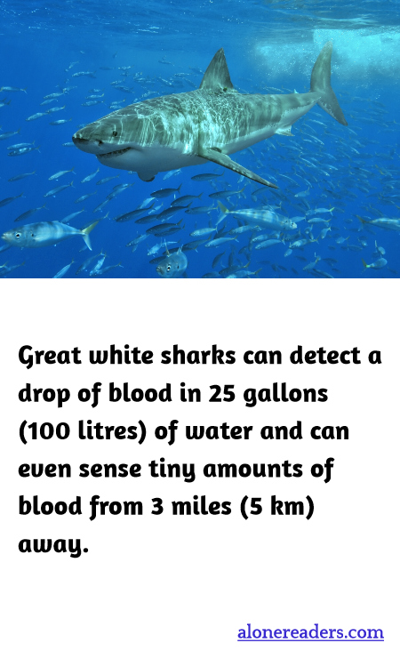 General Knowledge Learning Cards