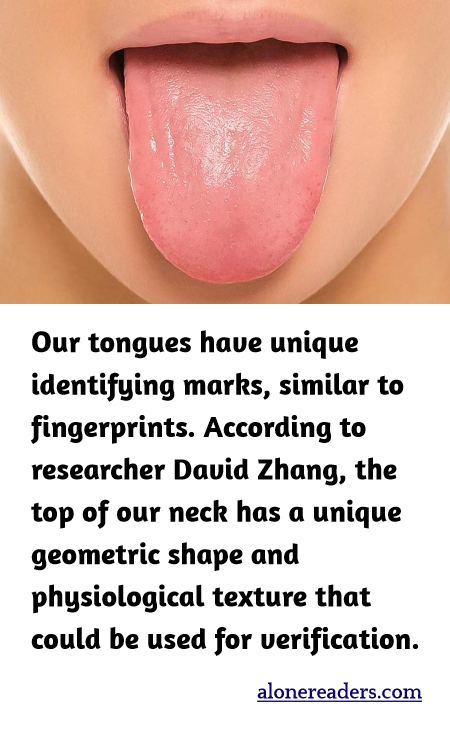General Knowledge Learning Cards