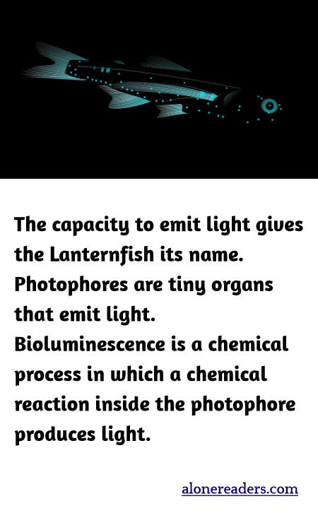 General Knowledge Learning Cards