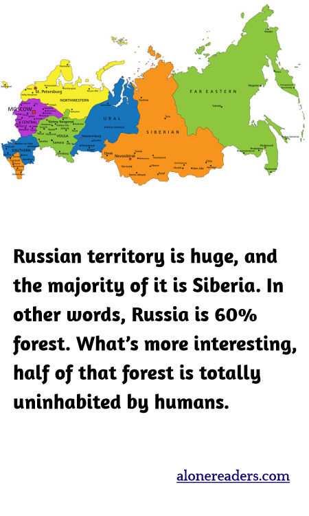 General Knowledge Learning Cards