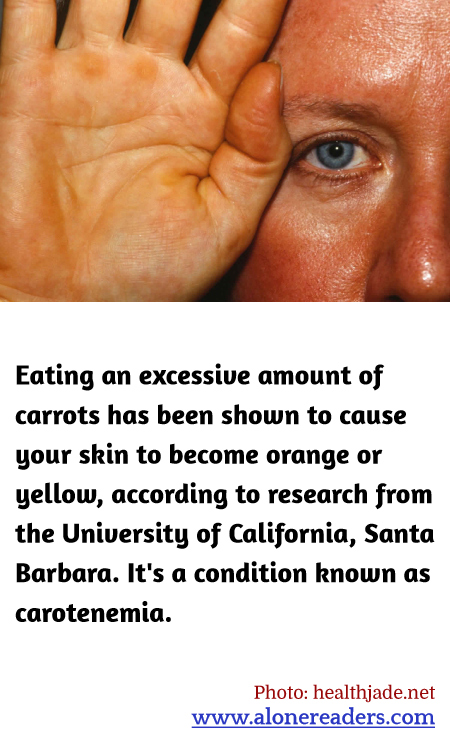General Knowledge Learning Cards