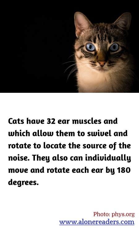 General Knowledge Learning Cards