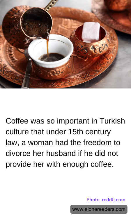 General Knowledge Learning Cards