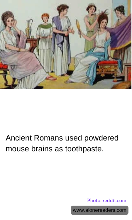 General Knowledge Learning Cards