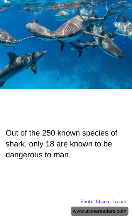 General Knowledge Learning Cards