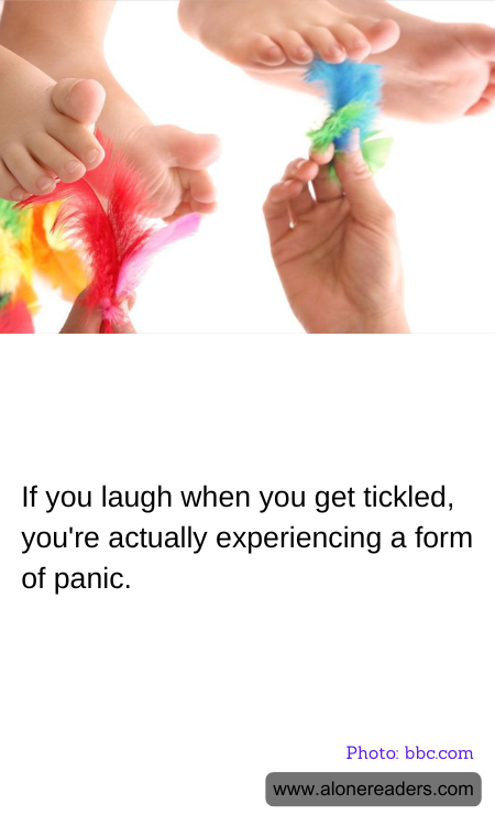 General Knowledge Learning Cards