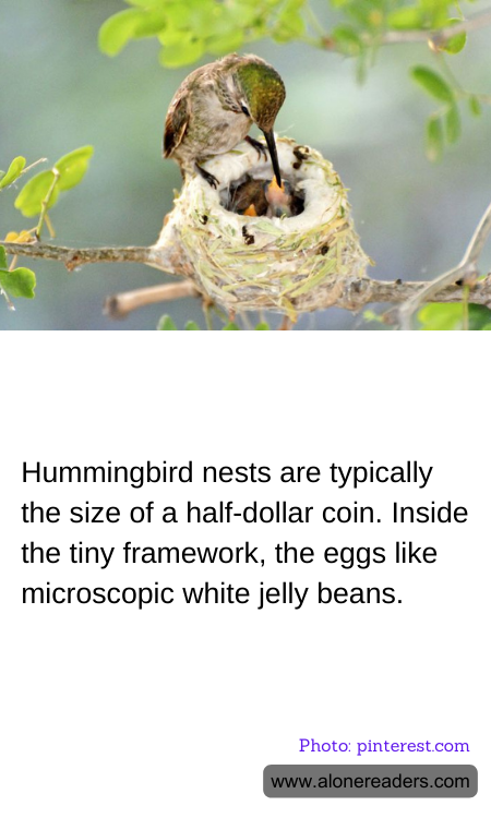 General Knowledge Learning Cards