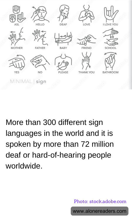 General Knowledge Learning Cards