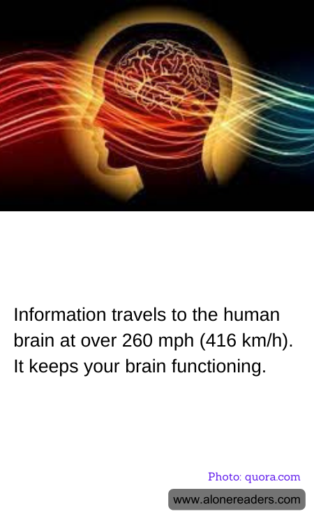 General Knowledge Learning Cards