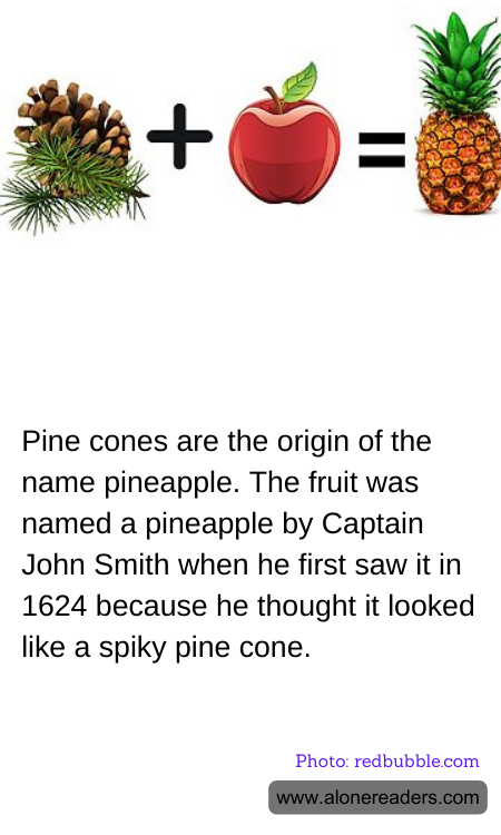 General Knowledge Learning Cards