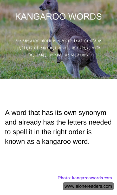 General Knowledge Learning Cards