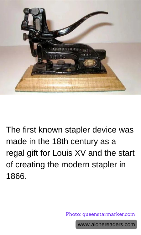 General Knowledge Learning Cards