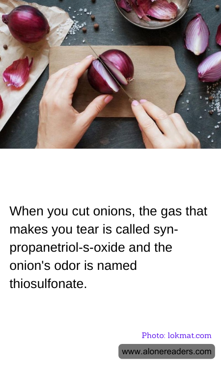 General Knowledge Learning Cards