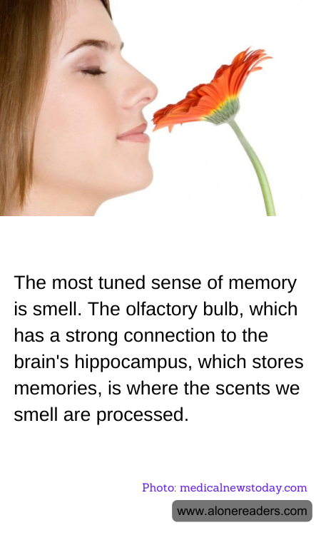 General Knowledge Learning Cards