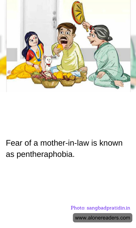 General Knowledge Learning Cards