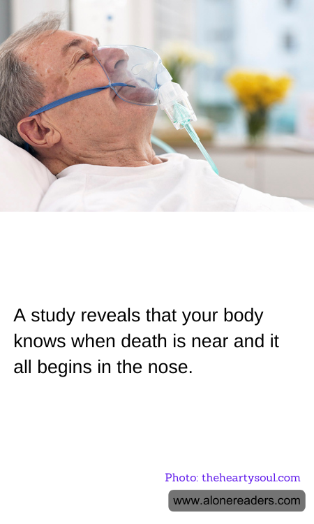General Knowledge Learning Cards