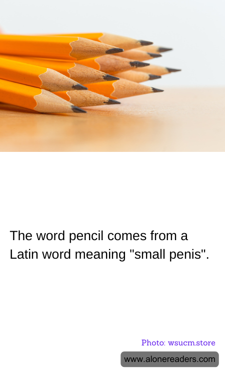 General Knowledge Learning Cards
