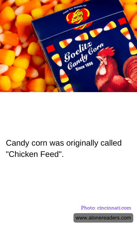 General Knowledge Learning Cards