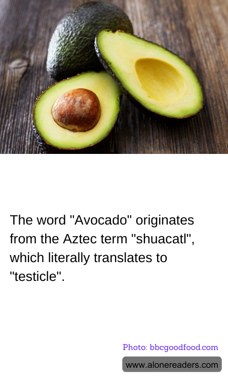 General Knowledge Learning Cards