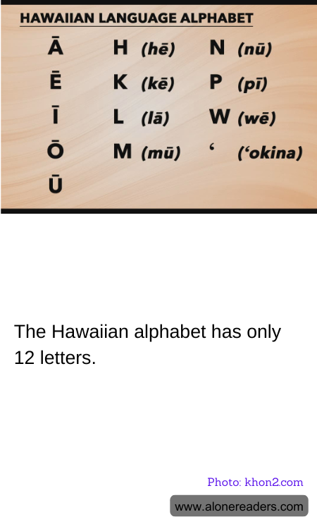 General Knowledge Learning Cards