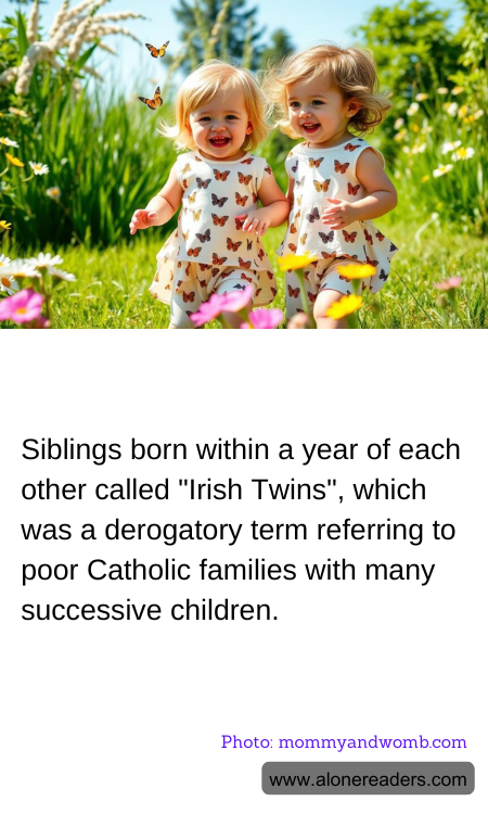 General Knowledge Learning Cards