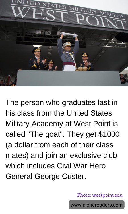 General Knowledge Learning Cards
