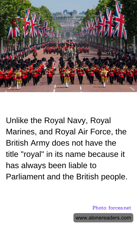 General Knowledge Learning Cards