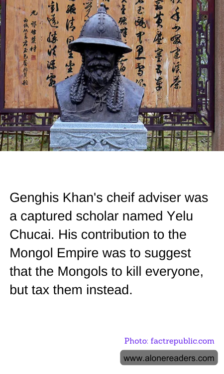 General Knowledge Learning Cards