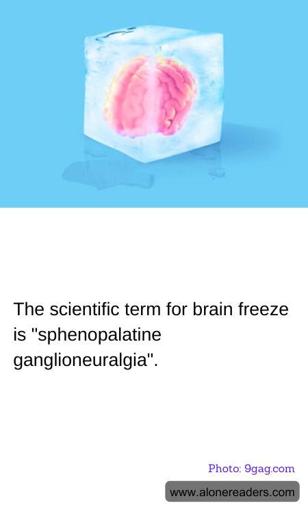 General Knowledge Learning Cards