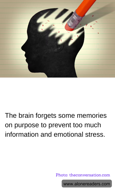 General Knowledge Learning Cards