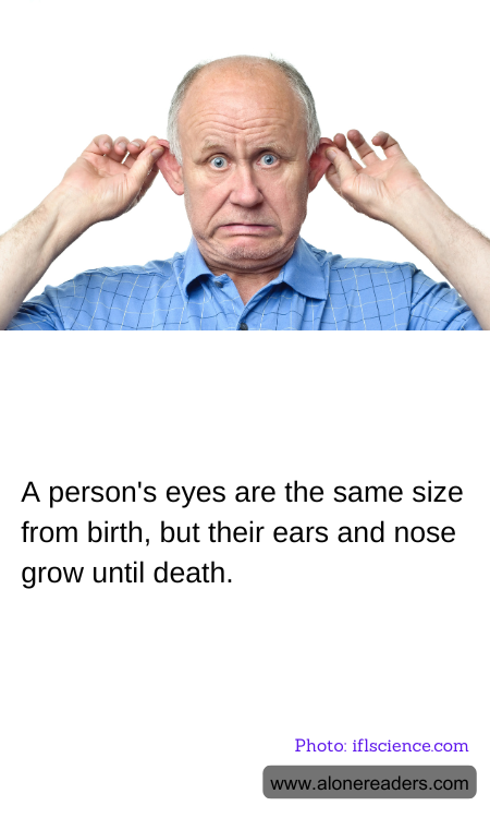 General Knowledge Learning Cards