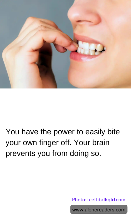 General Knowledge Learning Cards