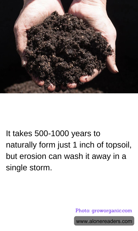 General Knowledge Learning Cards