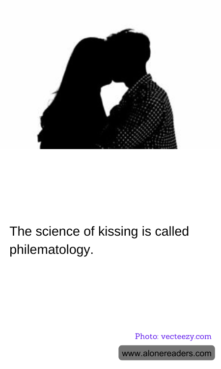 General Knowledge Learning Cards