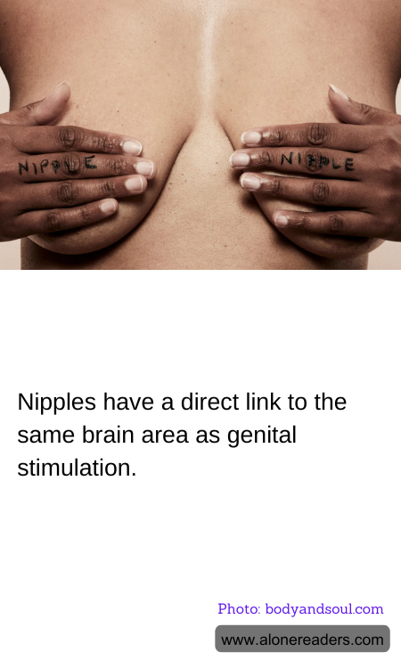 General Knowledge Learning Cards